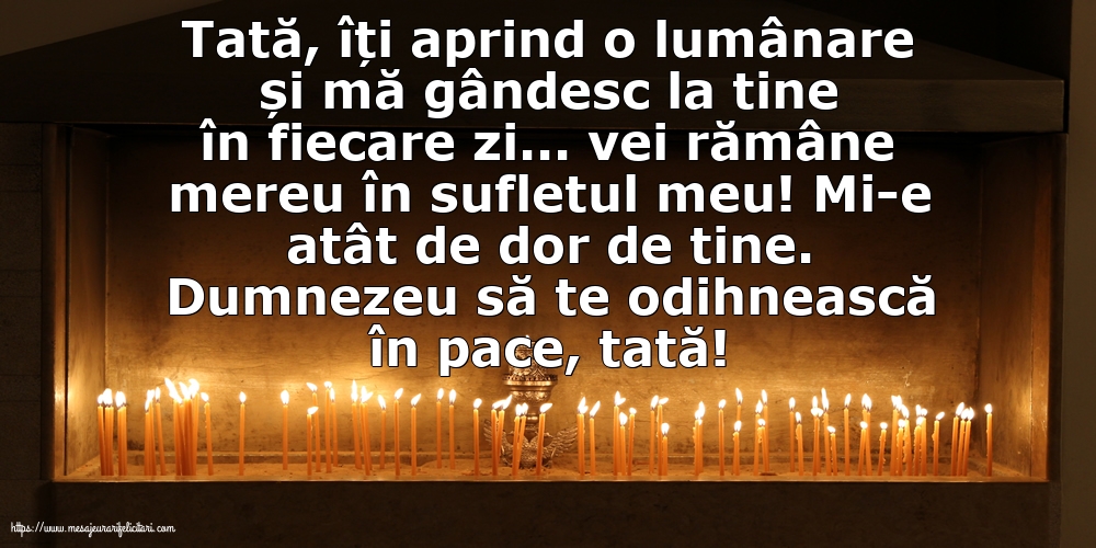 Comemorare Dumnezeu să te odihnească în pace, tată!