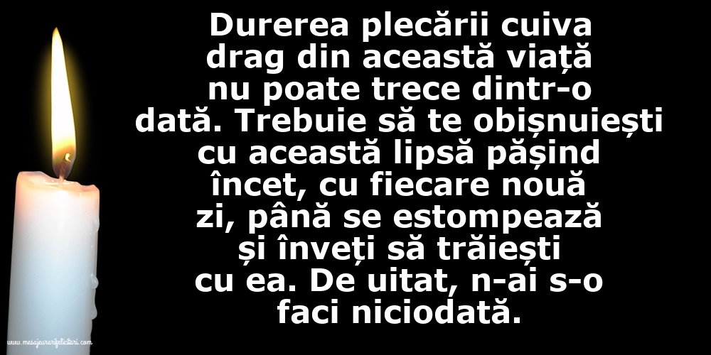 Durerea plecării cuiva drag din această viață nu poate trece dintr-o dată...