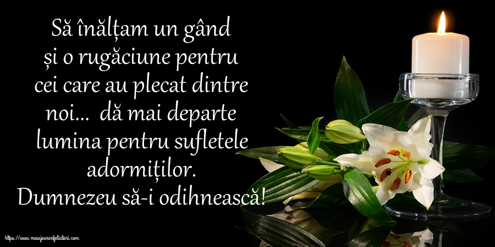 Comemorare Dumnezeu să-i odihnească!