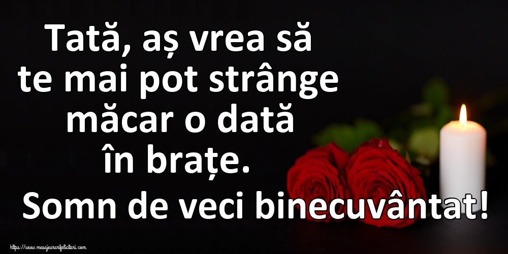 Tată, aș vrea să te mai pot strânge măcar o dată în brațe. Somn de veci binecuvântat!