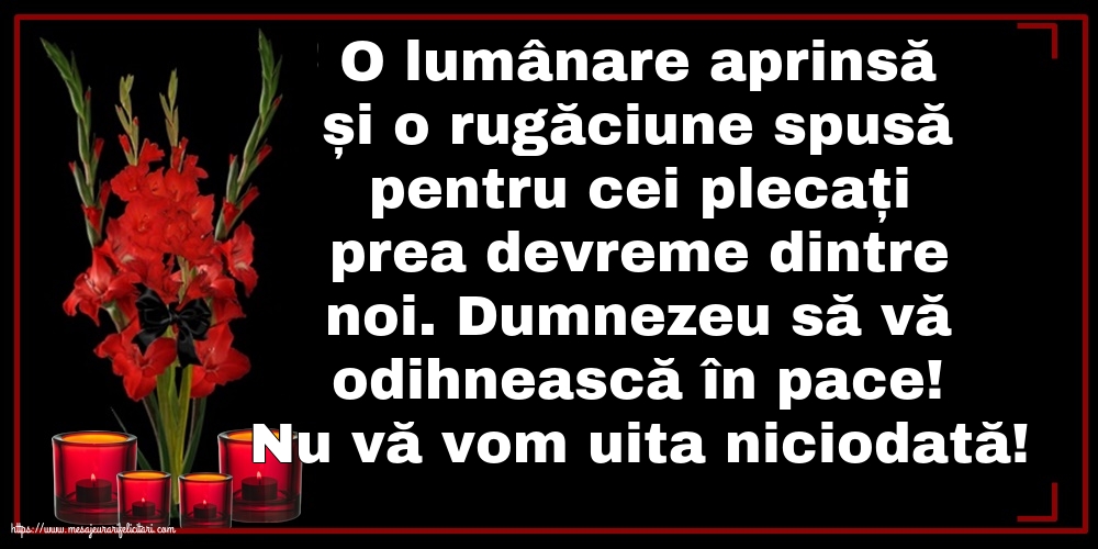 Comemorare Nu vă vom uita niciodată!