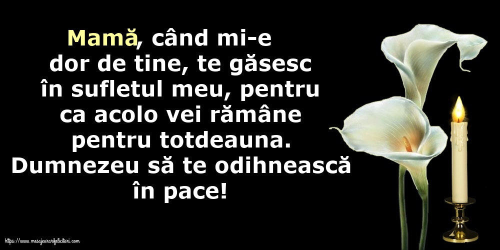 Comemorare Dumnezeu să te odihnească în pace!