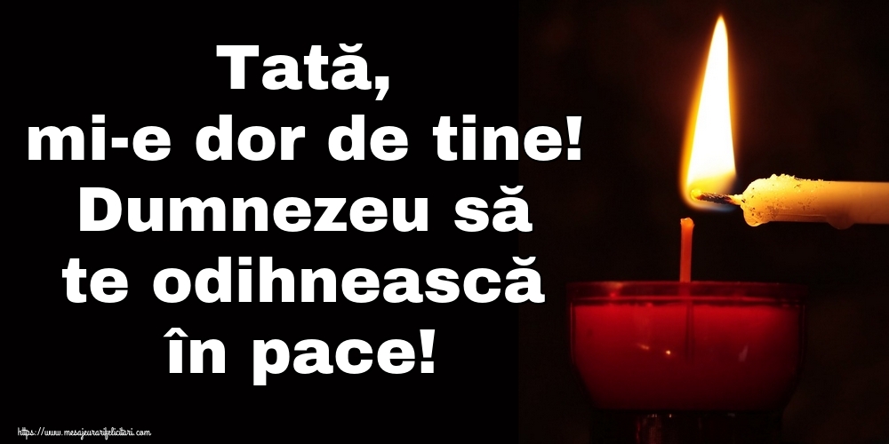Tată, mi-e dor de tine! Dumnezeu să te odihnească în pace!