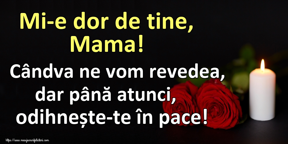 Mi-e dor de tine, Mama! Cândva ne vom revedea, dar până atunci, odihnește-te în pace!