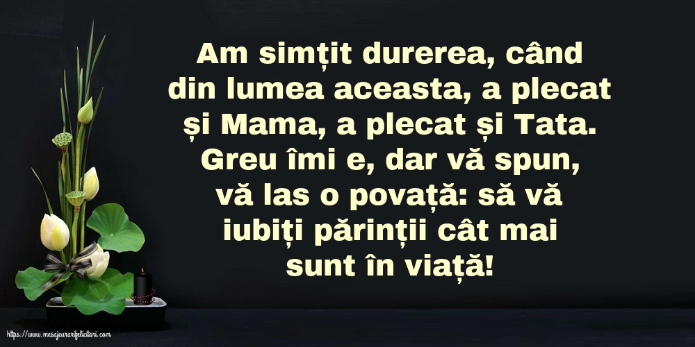 Să vă iubiți părinții cât mai sunt în viață!