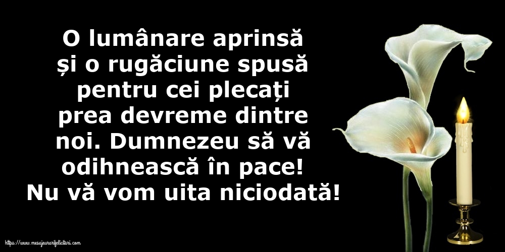 Comemorare Nu vă vom uita niciodată!