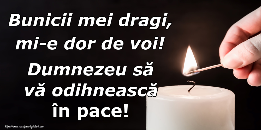Bunicii mei dragi, mi-e dor de voi! Dumnezeu să vă odihnească în pace!