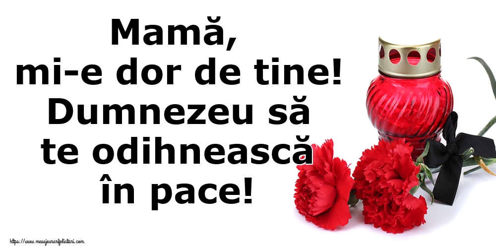 Mamă, mi-e dor de tine! Dumnezeu să te odihnească în pace!