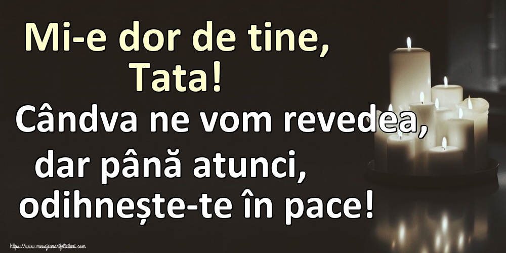 Mi-e dor de tine, Tata! Cândva ne vom revedea, dar până atunci, odihnește-te în pace!
