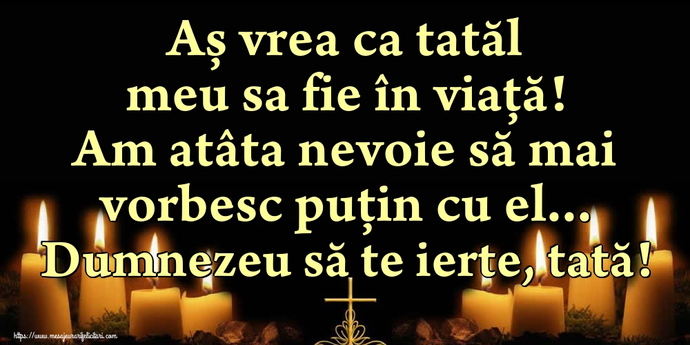 Aș vrea ca tatăl meu sa fie în viață! Am atâta nevoie să mai vorbesc puțin cu el... Dumnezeu să te ierte, tată!