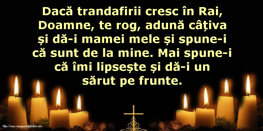 Comemorare Pentru mama mea...