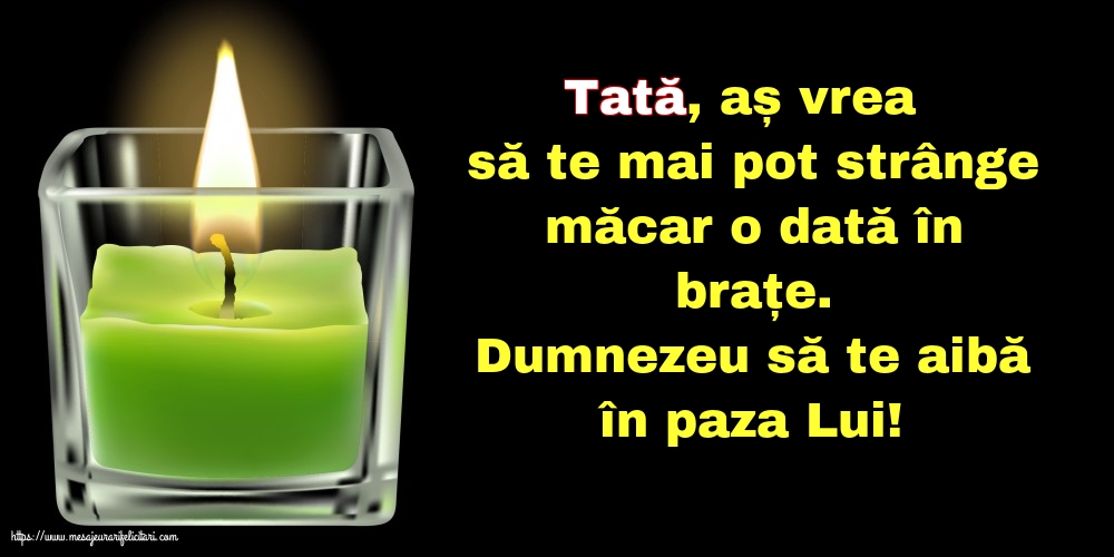 Comemorare Dumnezeu să te aibă în paza Lui! Tată