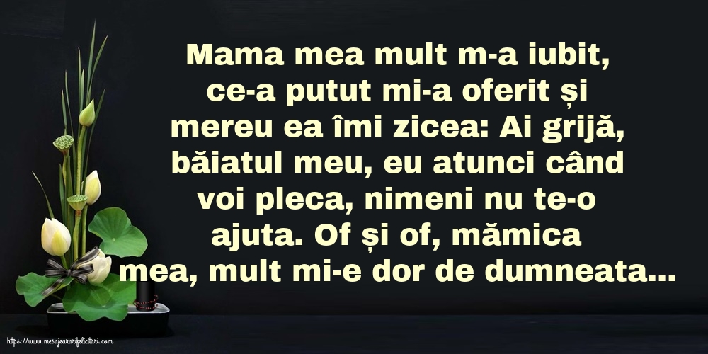Comemorare Of și of, mămica mea, mult mi-e dor de dumneata...