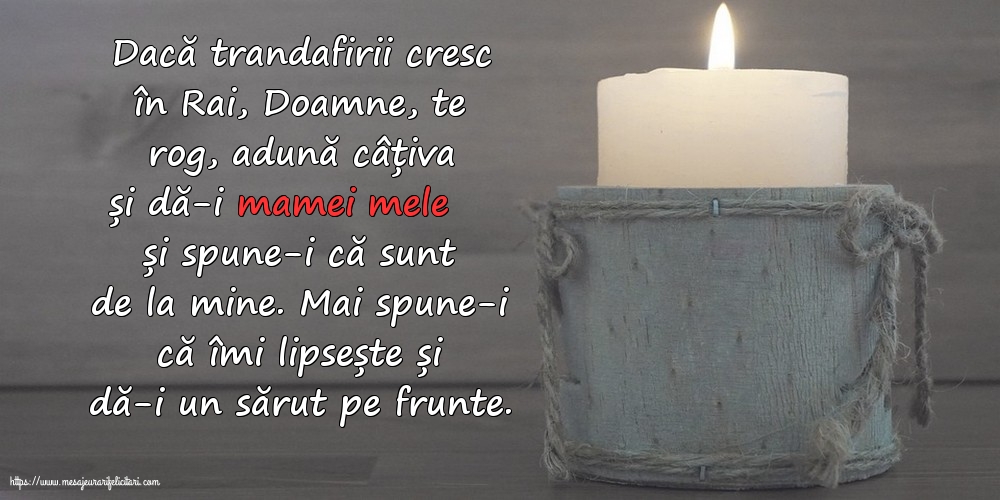 Comemorare Pentru mama mea...