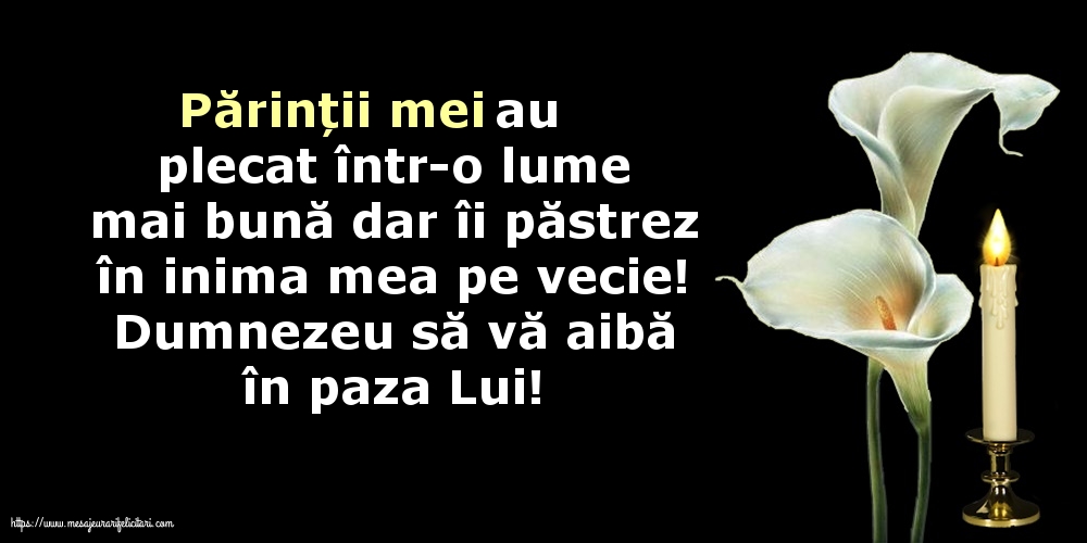 Dumnezeu să vă aibă în paza Lui!