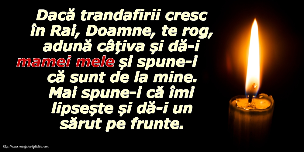 Comemorare Pentru mama mea...