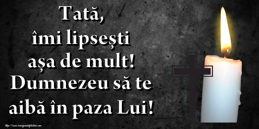 Tată, îmi lipsești așa de mult! Dumnezeu să te aibă în paza Lui!