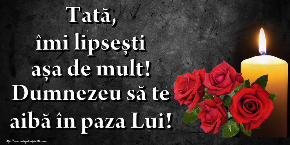 Comemorare Tată, îmi lipsești așa de mult! Dumnezeu să te aibă în paza Lui!
