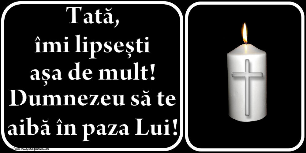 Tată, îmi lipsești așa de mult! Dumnezeu să te aibă în paza Lui!