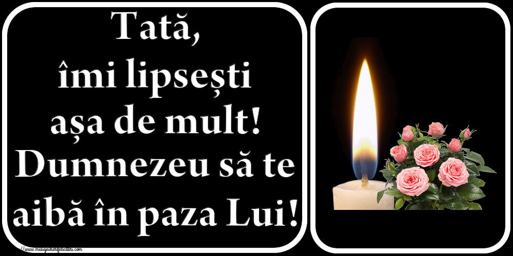 Tată, îmi lipsești așa de mult! Dumnezeu să te aibă în paza Lui!