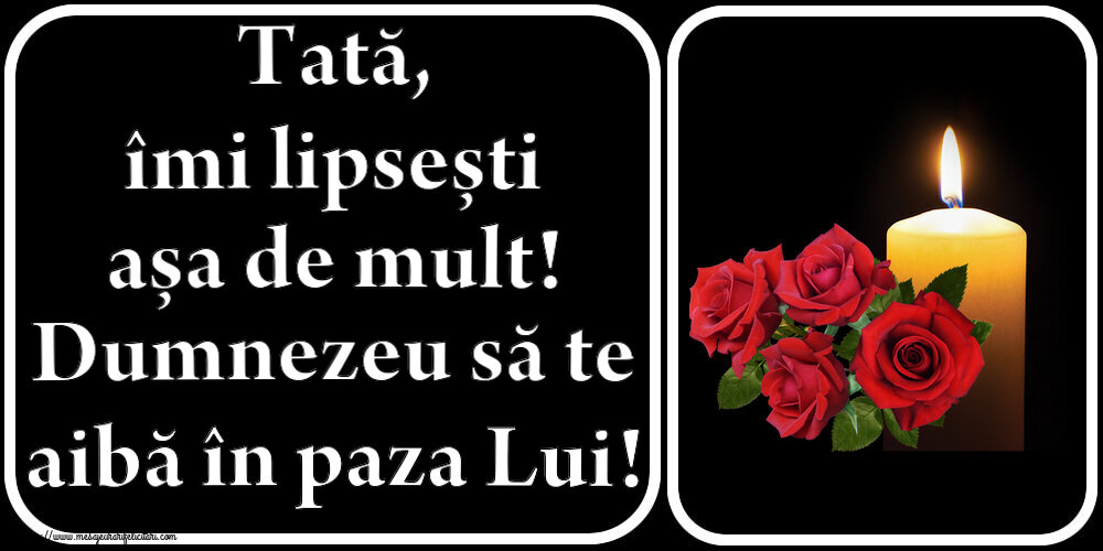 Tată, îmi lipsești așa de mult! Dumnezeu să te aibă în paza Lui!