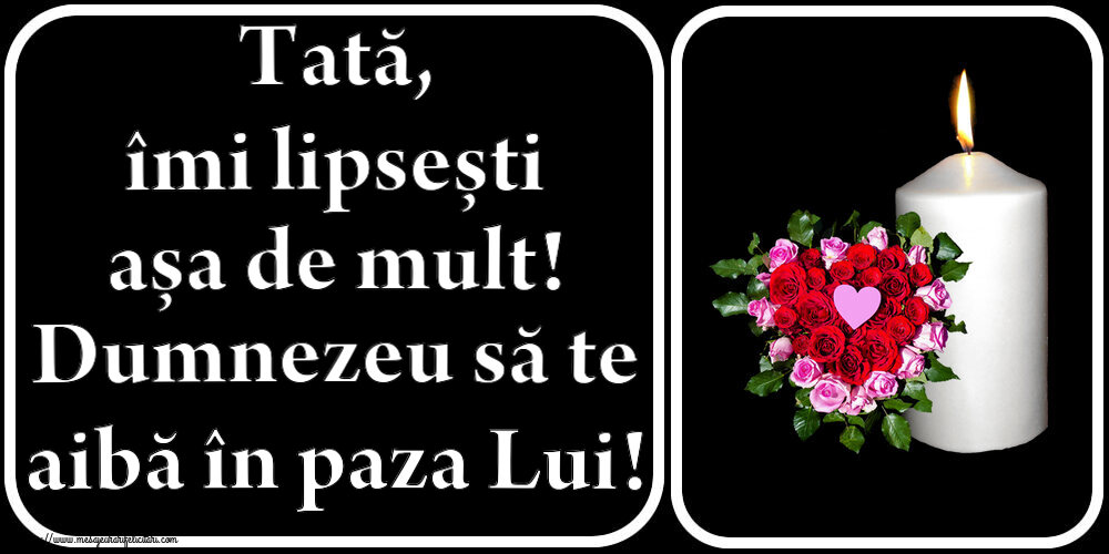 Tată, îmi lipsești așa de mult! Dumnezeu să te aibă în paza Lui!