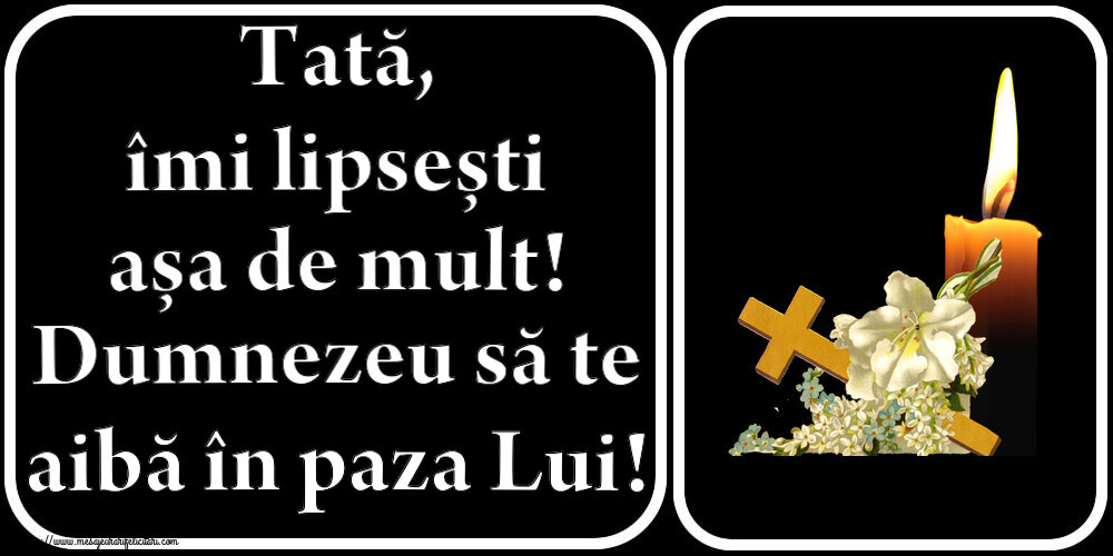 Tată, îmi lipsești așa de mult! Dumnezeu să te aibă în paza Lui!