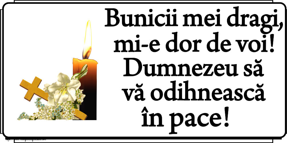 Bunicii mei dragi, mi-e dor de voi! Dumnezeu să vă odihnească în pace!