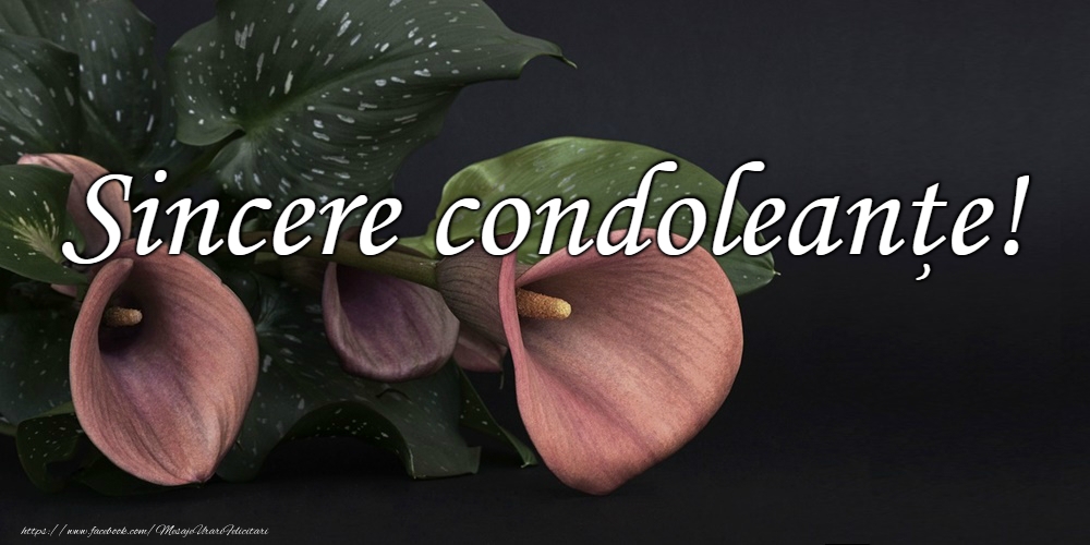 Sincere condoleanțe!
