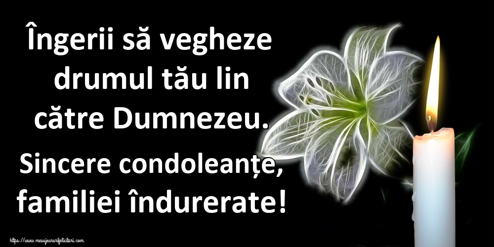 Îngerii să vegheze drumul tău lin către Dumnezeu. Sincere condoleanțe, familiei îndurerate!