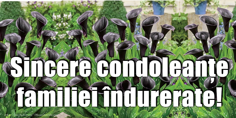 Sincere condoleanțe!