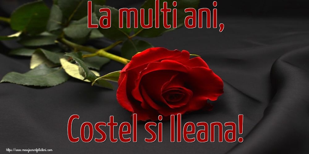 La multi ani, Costel si Ileana!