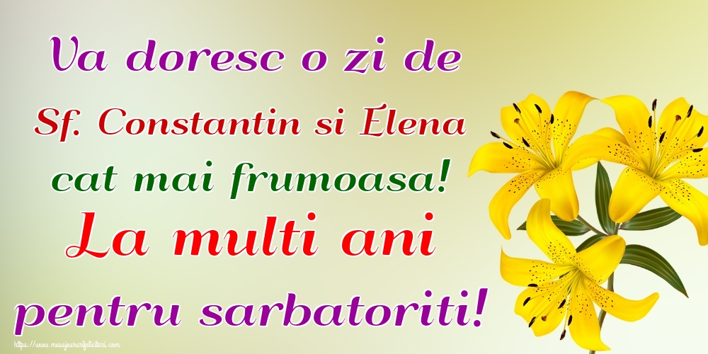 Va doresc o zi de Sf. Constantin si Elena cat mai frumoasa! La multi ani pentru sarbatoriti!