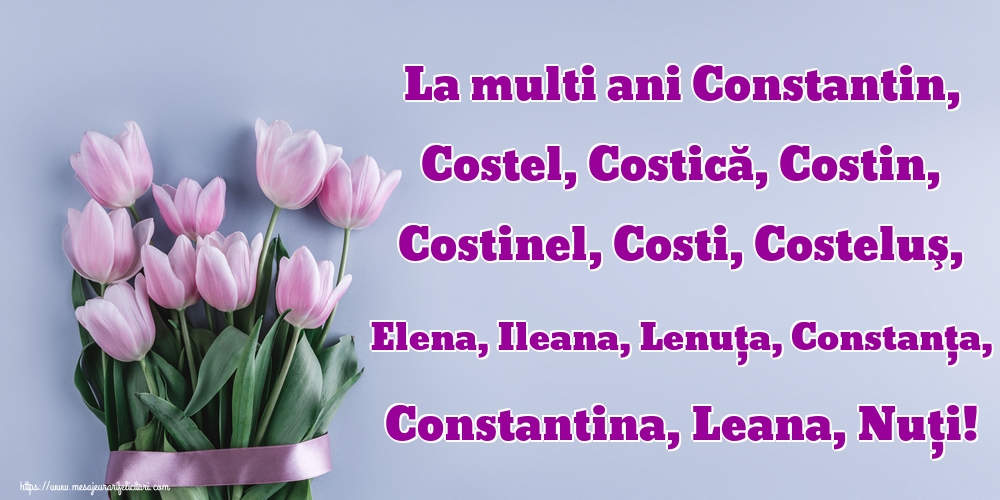 La multi ani Constantin, Costel, Costică, Costin, Costinel, Costi, Costeluş, Elena, Ileana, Lenuţa, Constanţa, Constantina, Leana, Nuţi!