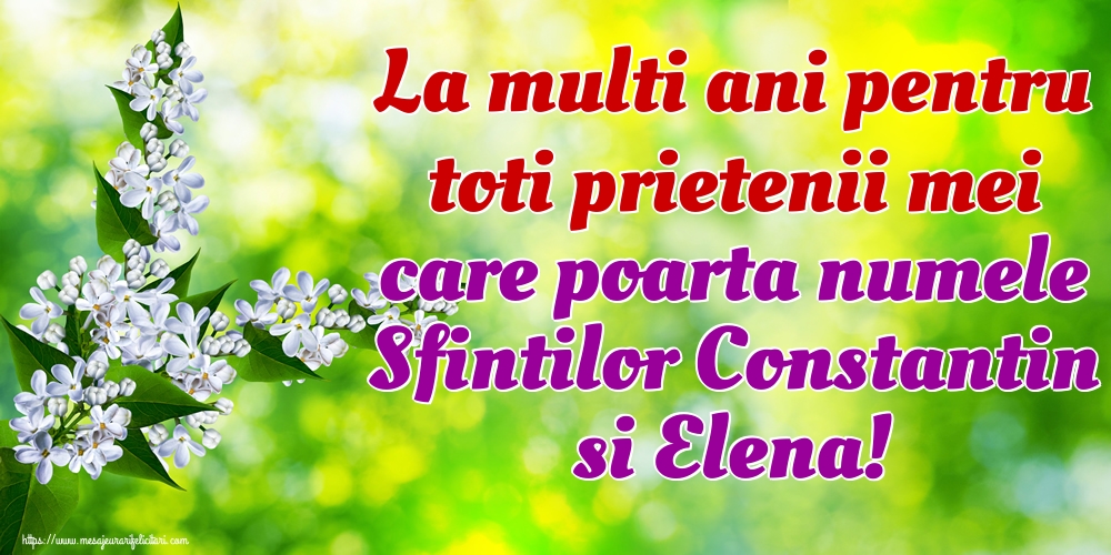La multi ani pentru toti prietenii mei care poarta numele Sfintilor Constantin si Elena!