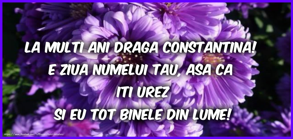 La multi ani draga Constantina!