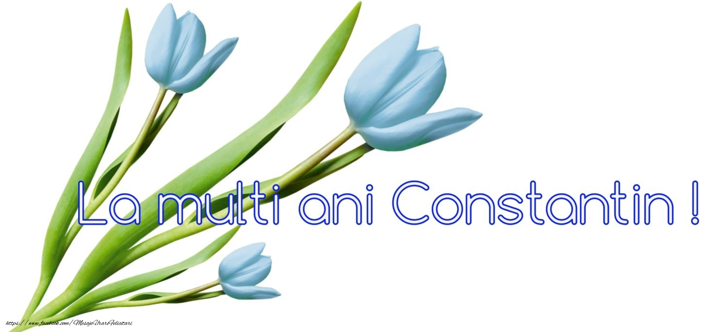 Felicitari de Sfintii Constantin si Elena - La multi ani Constantin! - mesajeurarifelicitari.com