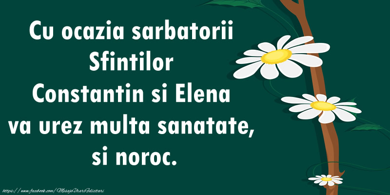 Cu ocazia sarbatorii Sfintilor Constantin si Elena va urez multa sanatate, si noroc.