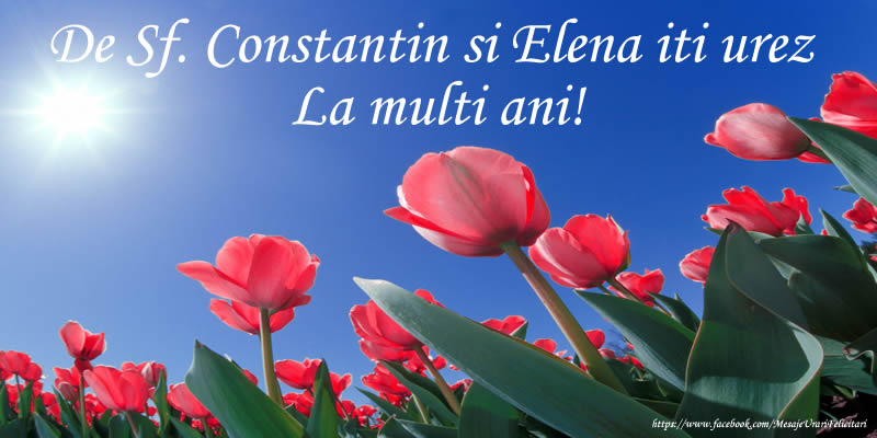 De Sf. Constantin si Elena iti urez La multi ani!