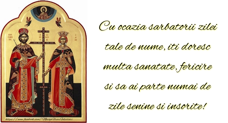 Cu ocazia sarbatorii zilei tale de nume, iti doresc multa sanatate, fericire si sa ai parte numai de zile senine si insorite!