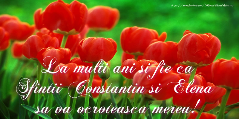 La multi ani si fie ca Sfintii Constantin si Elena sa va ocroteasca mereu!