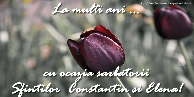 La multi ani ... cu ocazia sarbatorii Sfintilor Constantin si Elena!