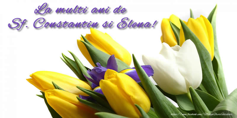 La multi ani de Sf. Constantin si Elena!