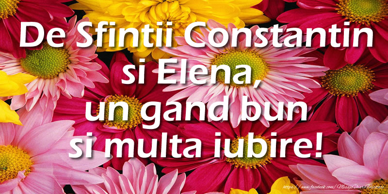 Felicitari de Sfintii Constantin si Elena - De Sfintii Constantin si Elena,  un gand bun si multa iubire! - mesajeurarifelicitari.com