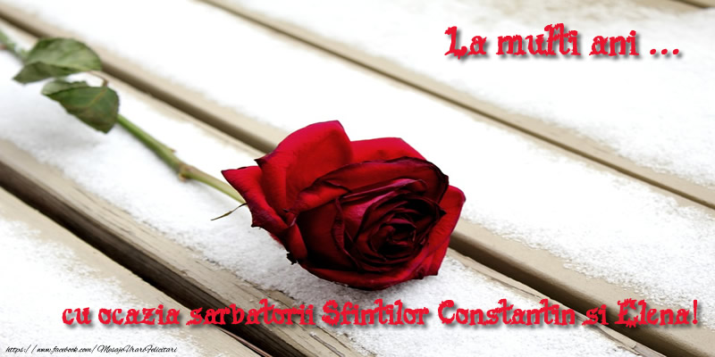 Felicitari de Sfintii Constantin si Elena - La multi ani ... cu ocazia sarbatorii Sfintilor Constantin si Elena! - mesajeurarifelicitari.com