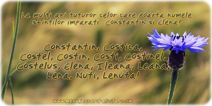 Felicitari de Sfintii Constantin si Elena - La multi ani tuturor celor ce poarta numele sfintilor imparati  Constantin si Elena! - mesajeurarifelicitari.com