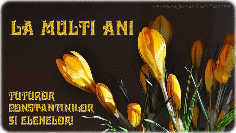 La multi ani, tuturor Constantinilor si Elenelor!