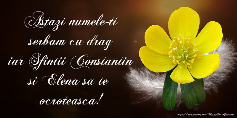 Sfintii Constantin si Elena Astazi numele-ti serbam cu drag iar Sfintii Constantin si Elena sa te ocroteasca!