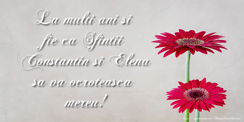 La multi ani si fie ca Sfintii Constantin si Elena sa va ocroteasca mereu!