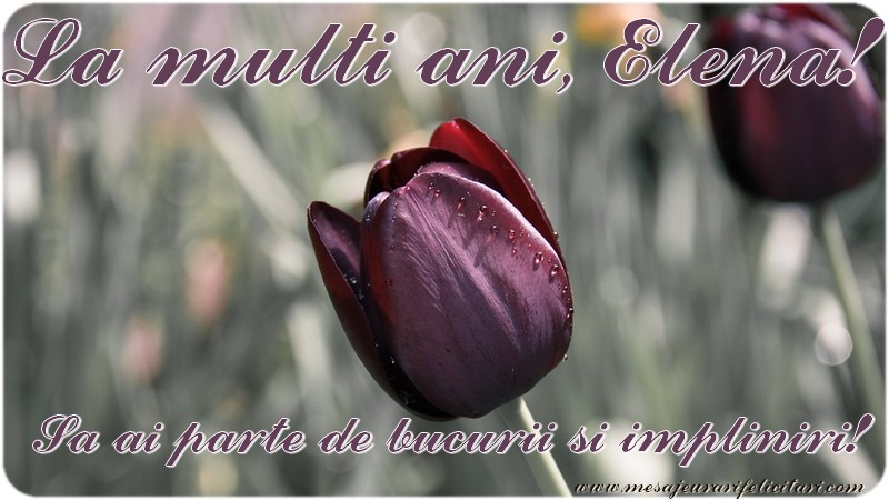 La multi ani, Elena! Sa ai parte de bucurii si impliniri!